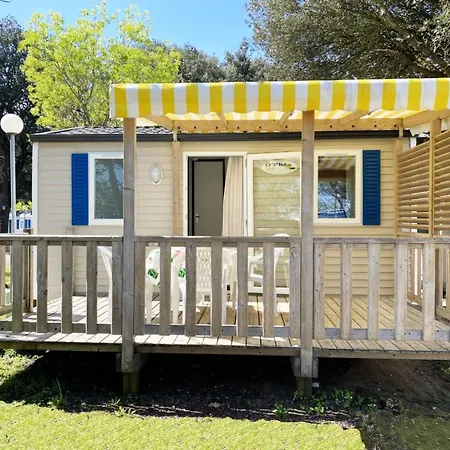 Ostrea **** Campsite