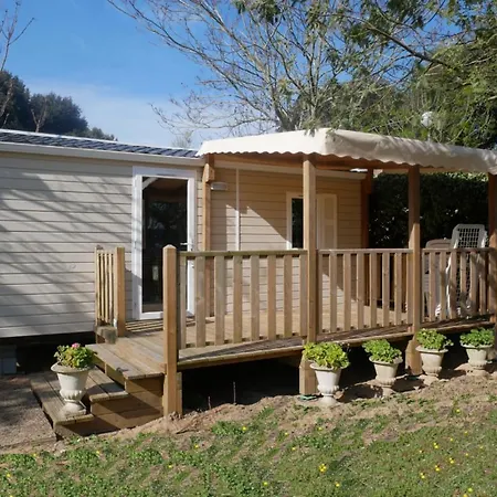 Ostrea **** Dolus-d'Oleron