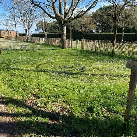 Ostrea **** 4* Dolus-d'Oleron