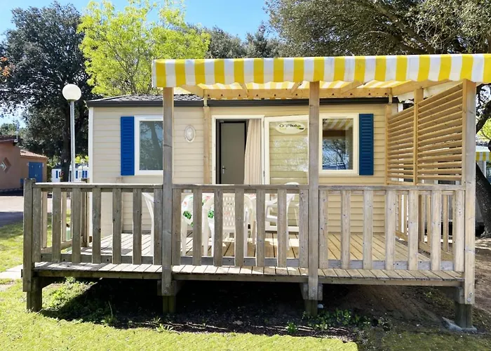 Ostrea **** Campsite